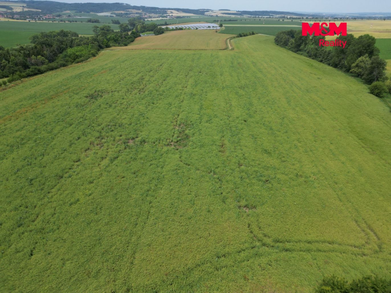DJI_0576.jpg