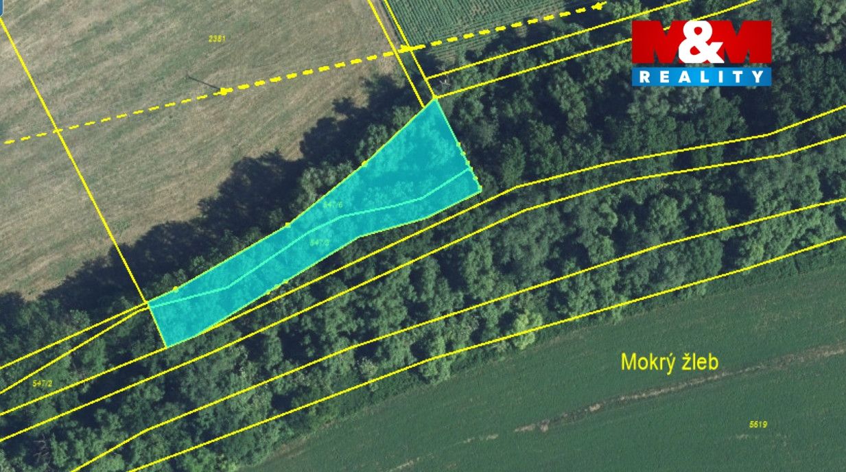 mapka