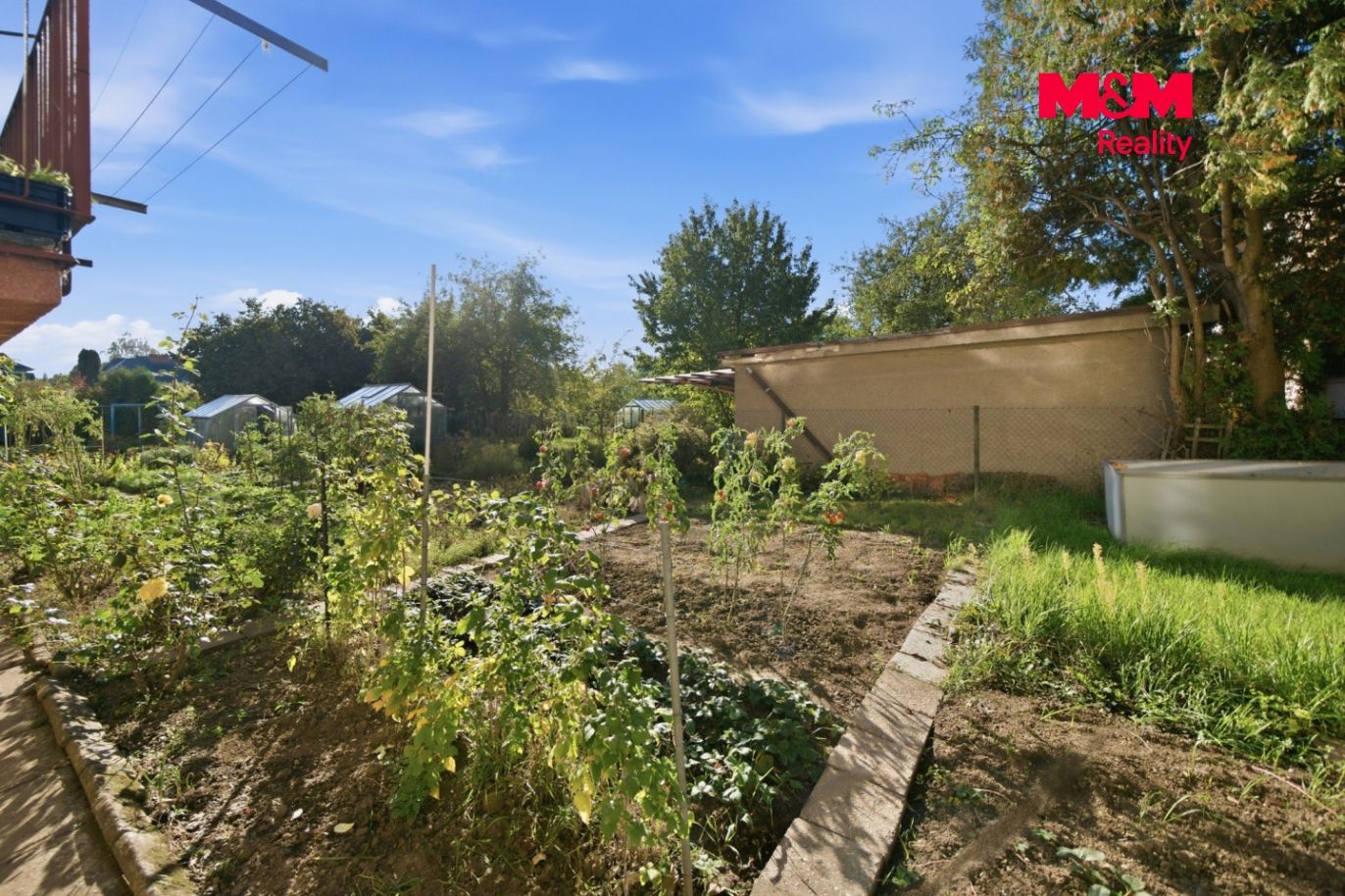 hf-37.jpg