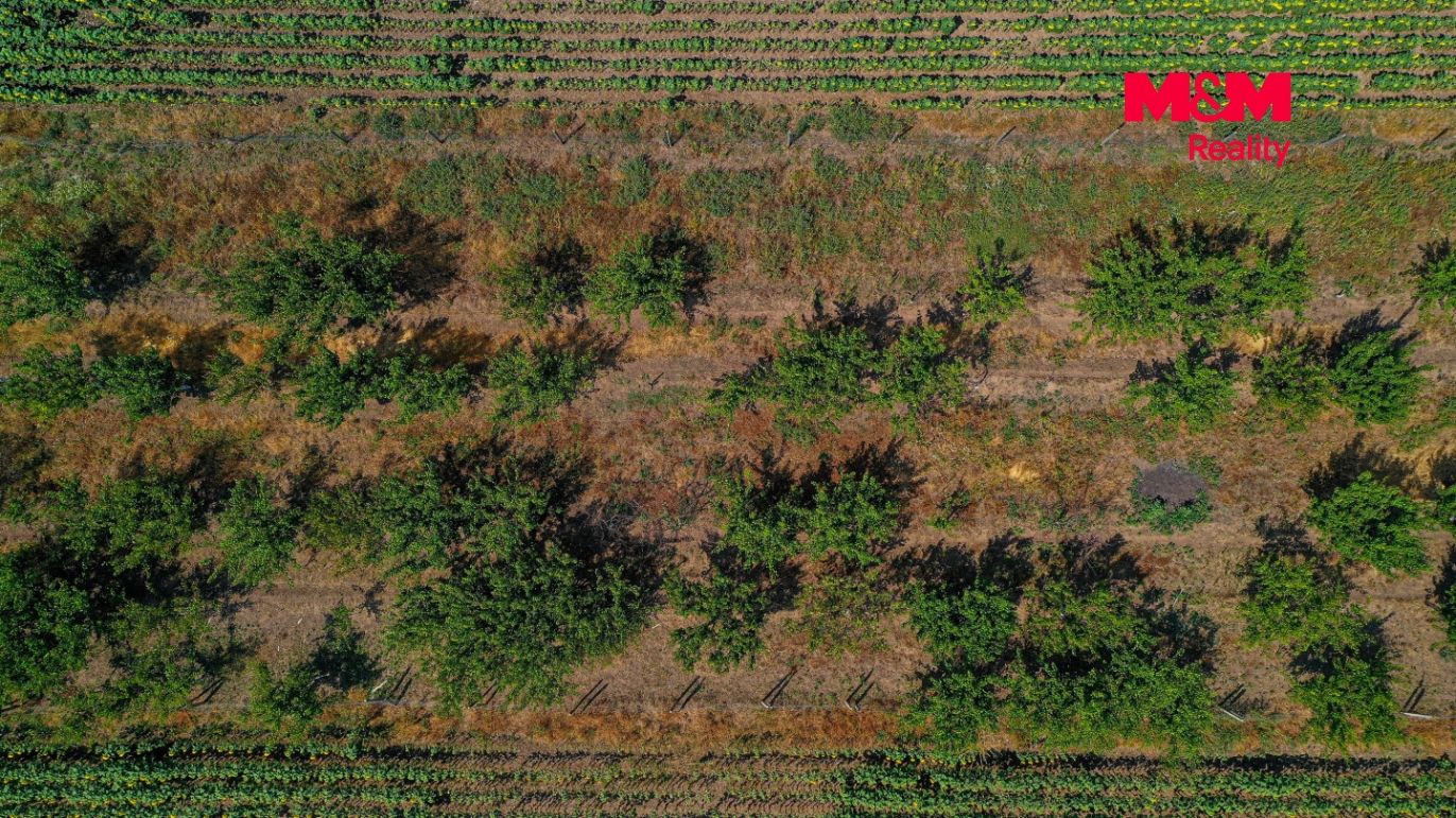 DJI_0961.jpg