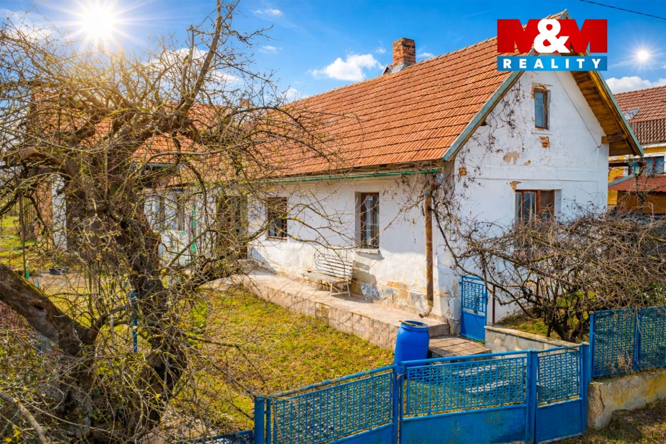 Dům