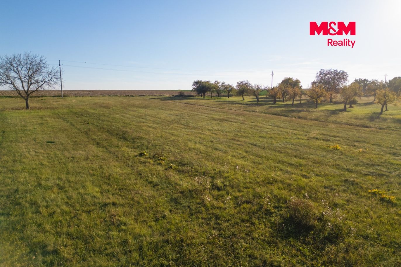 DJI_0520.jpg