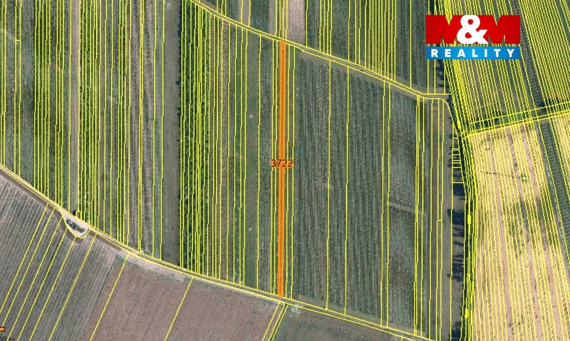 mapka