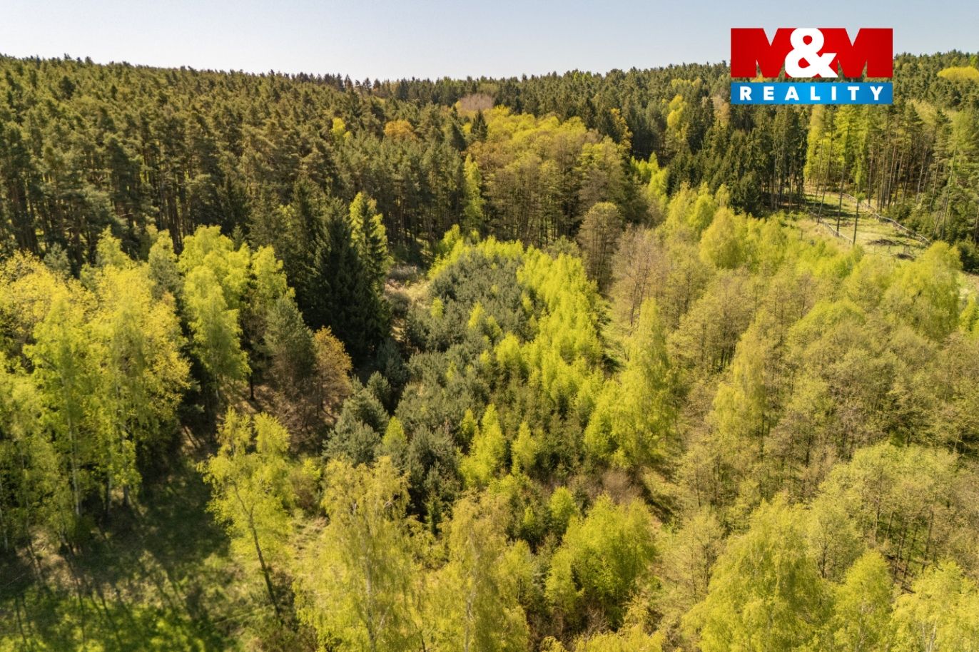 DJI_20260430110847_0008_D.jpg