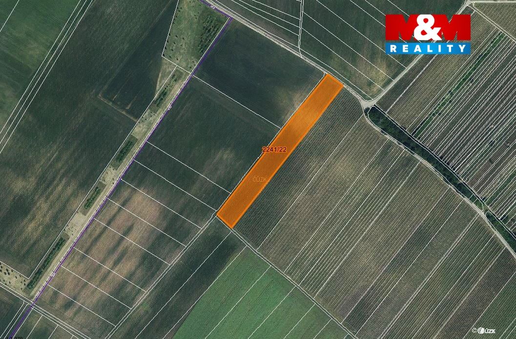 mapka