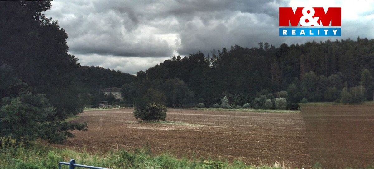 177498274.jpg