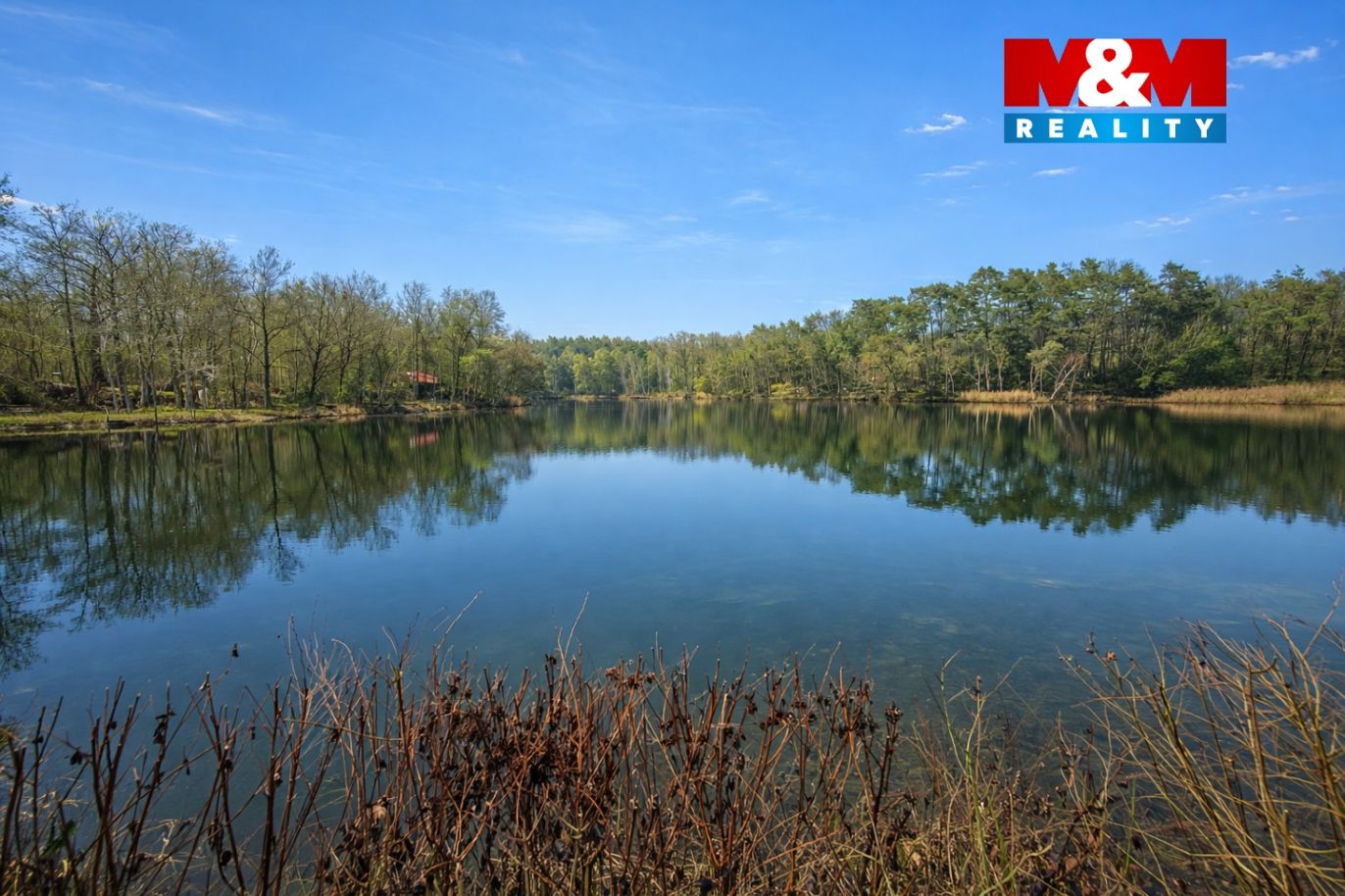 image_7EFACA71-73AF-4E26-BAFD-B91B4E677A4E_1766184300.png