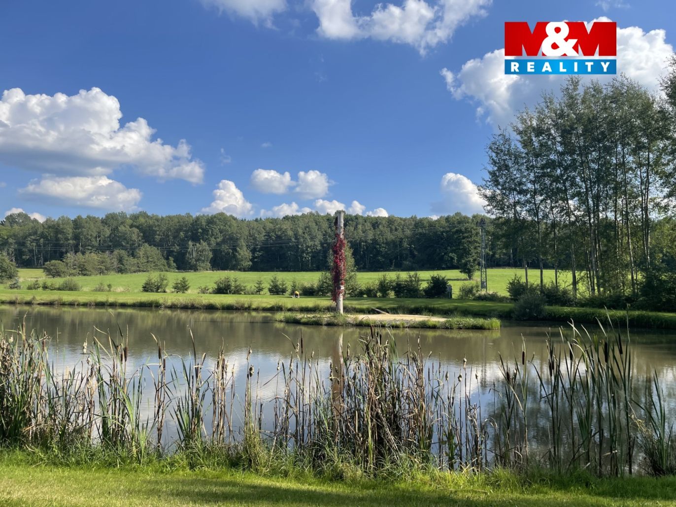 e466ef90-7f74-4d9d-ae13-f8cebebbce4e.jpg