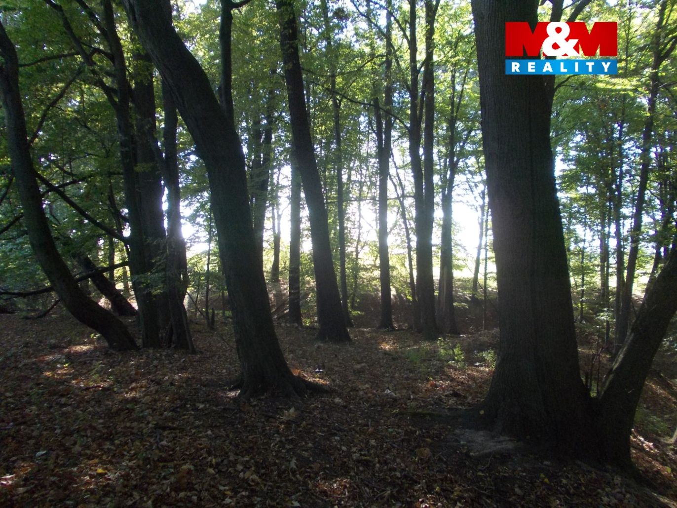 DSCN7580.jpg