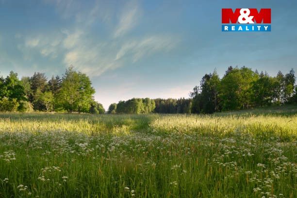istockphoto-1363784248-612x612.jpg