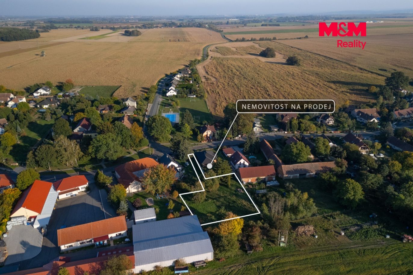 Dron2.jpg