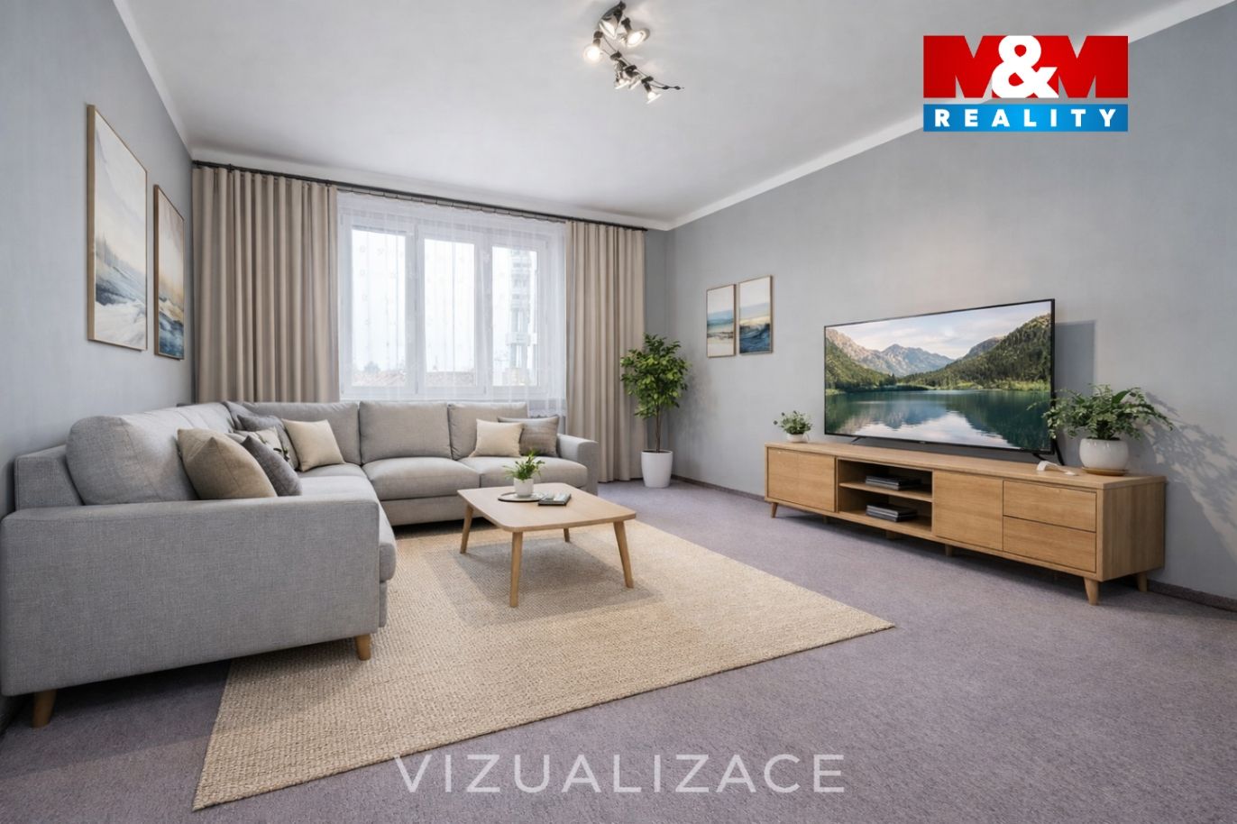 Vizualizace
