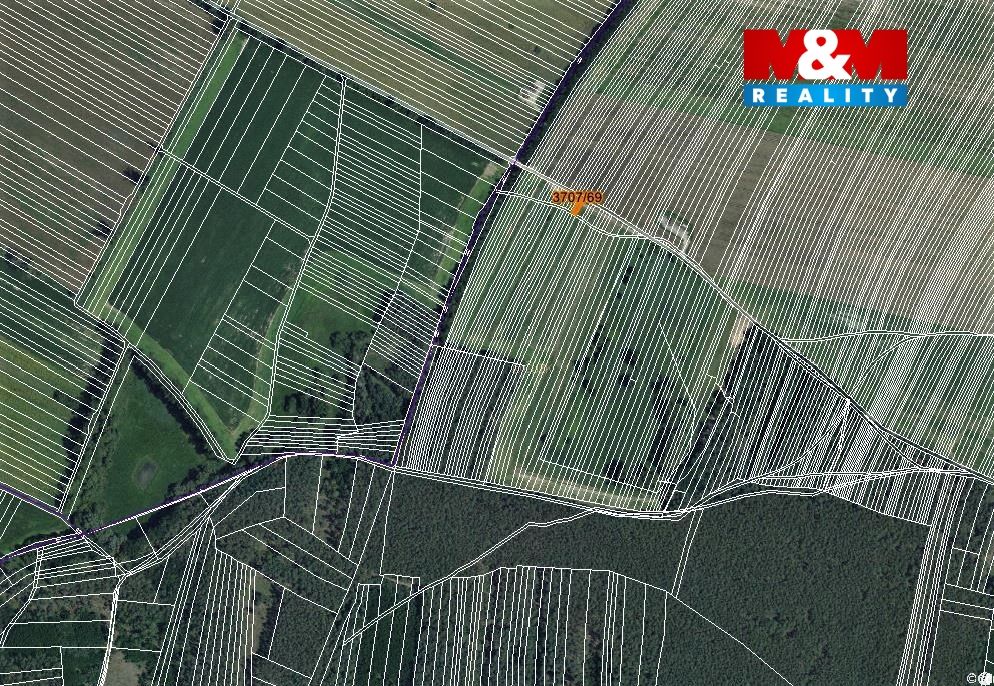 mapka