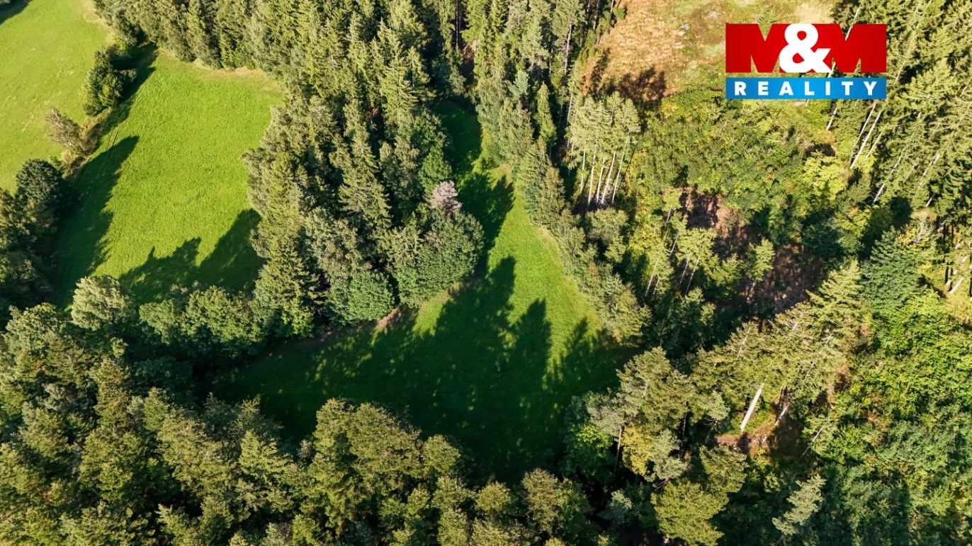 DJI_20250729175907_0203_D.jpg