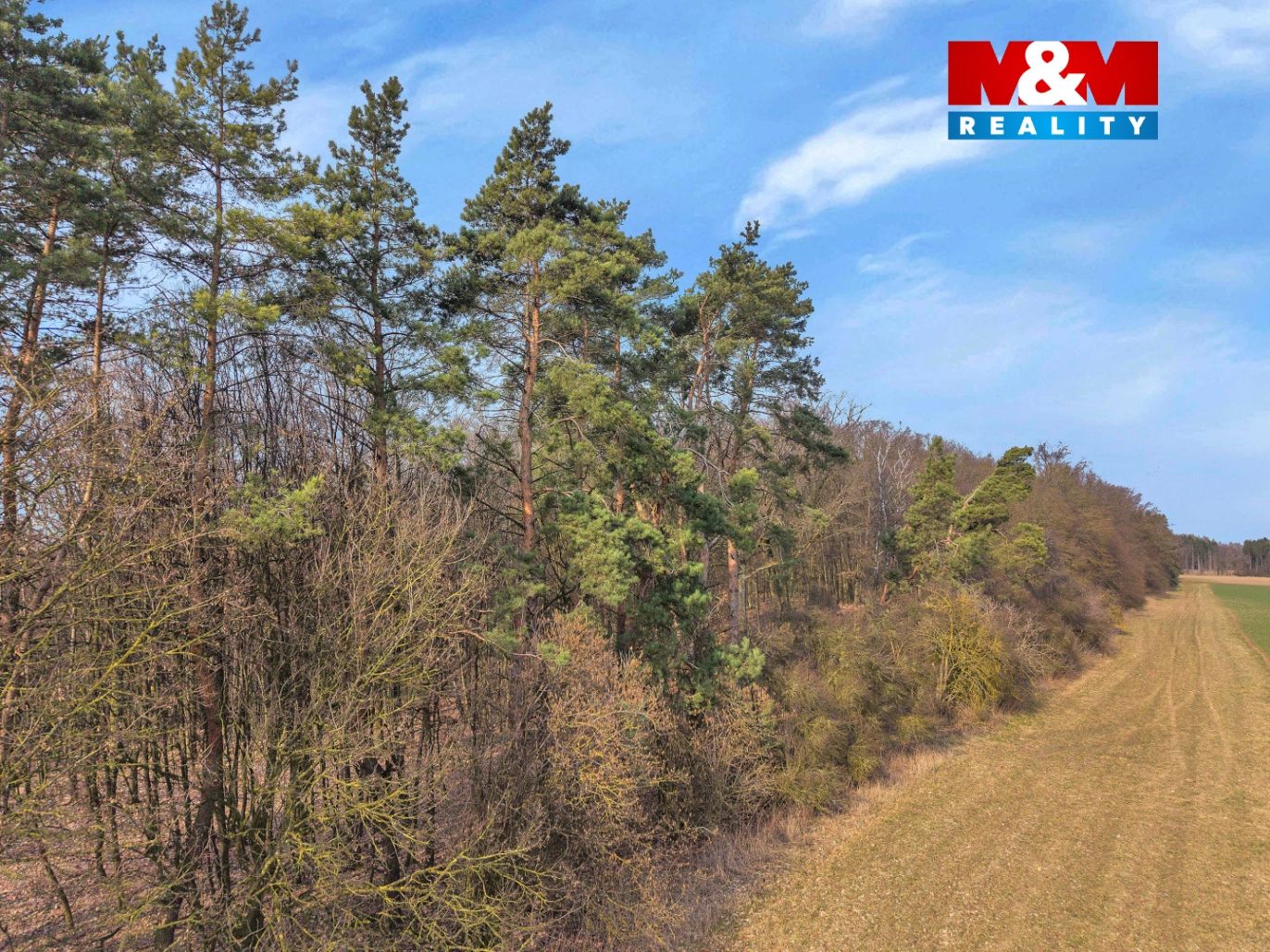 DJI_20260310101707_0088_D kopie.jpg