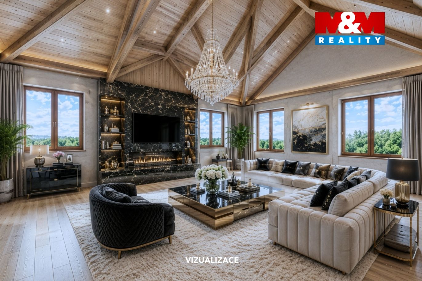 Vizualizace