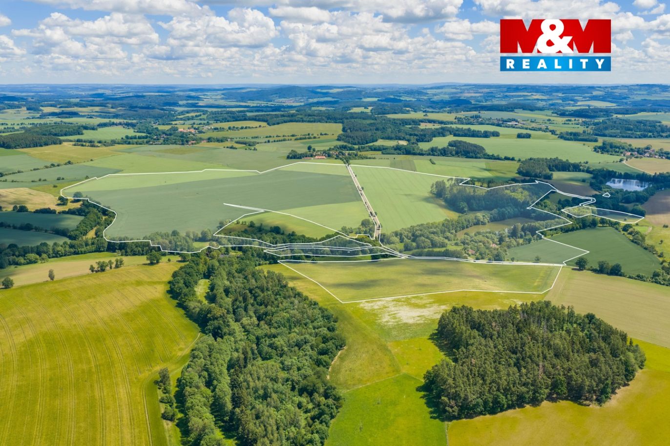 DJI_20260606115119_0138_Db.jpg