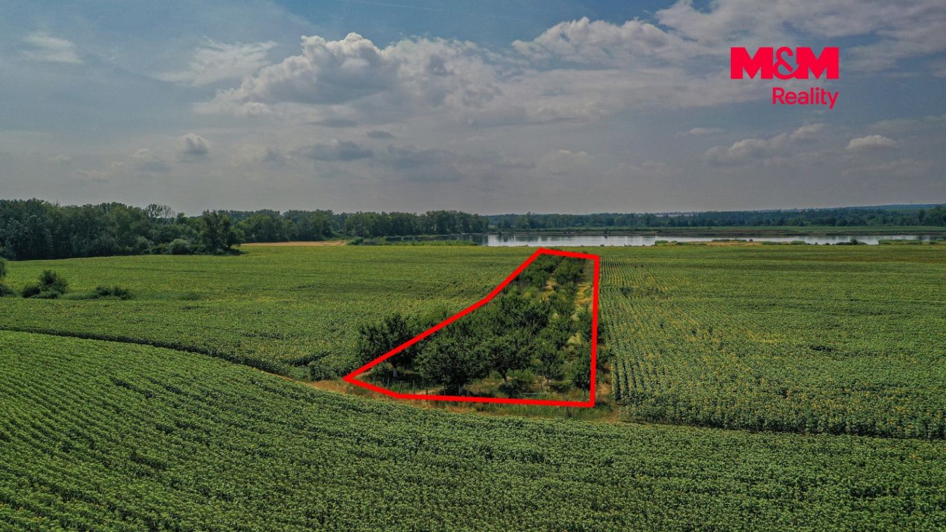 DJI_0937 kopie.jpg