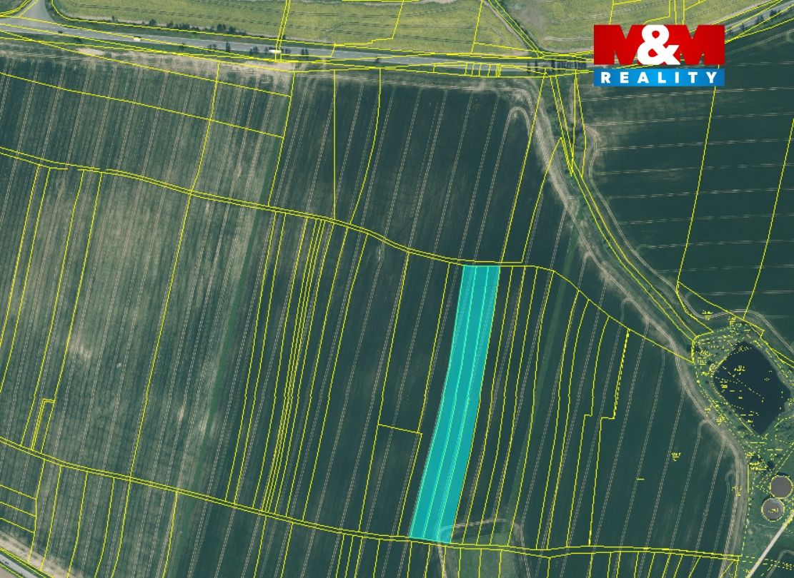 pole- Dobřany.png
