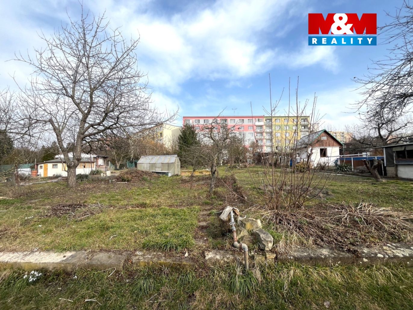 image_81A9E427-74FA-467D-B094-7647D5CBE9AE_1773337998.jpeg