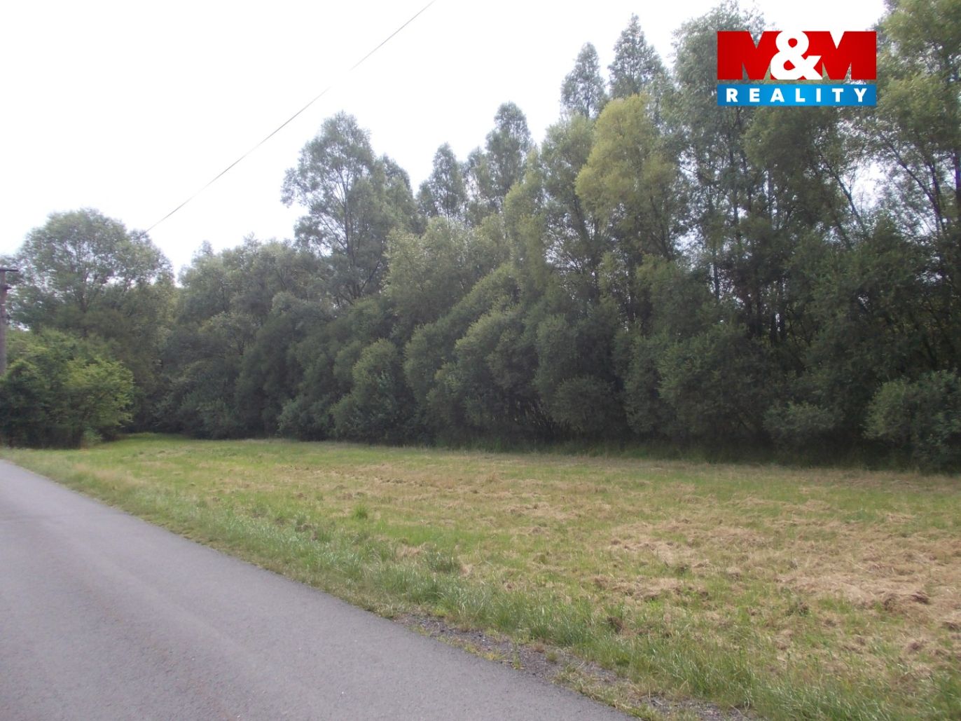 DSCN8460.jpg