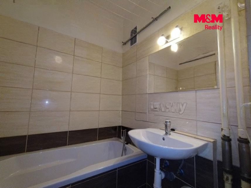 Firefly (3).jpg