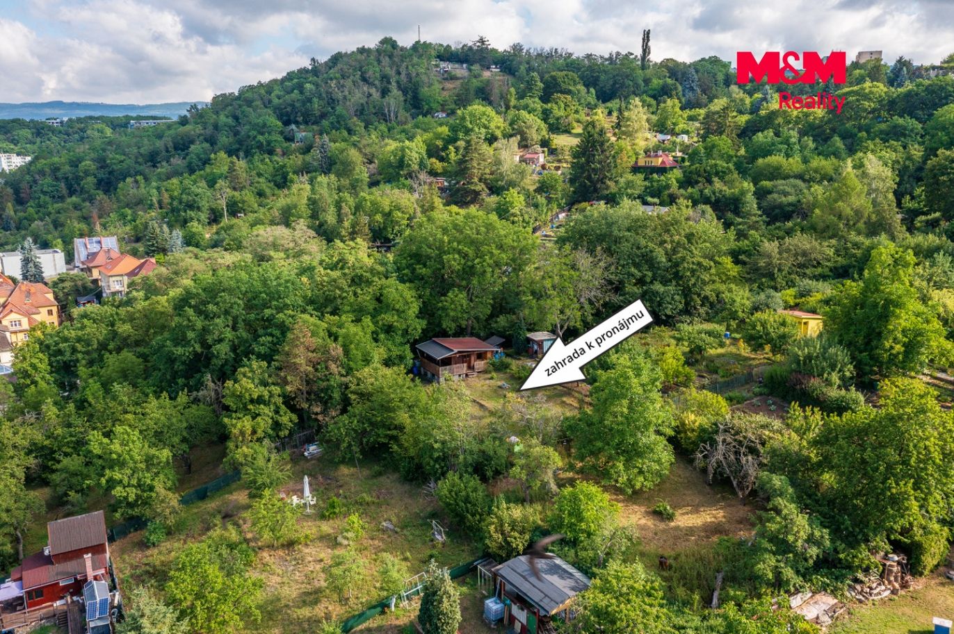 zahrada