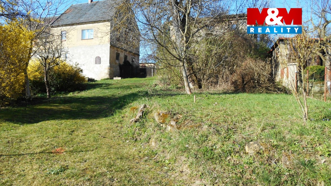 kalo3.jpg