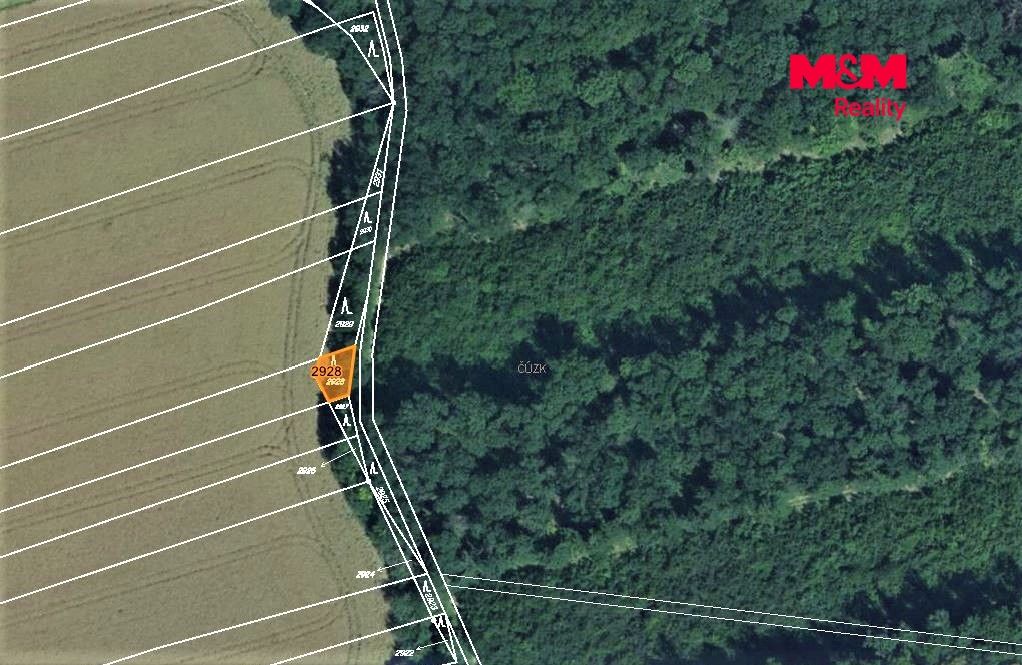 mapka
