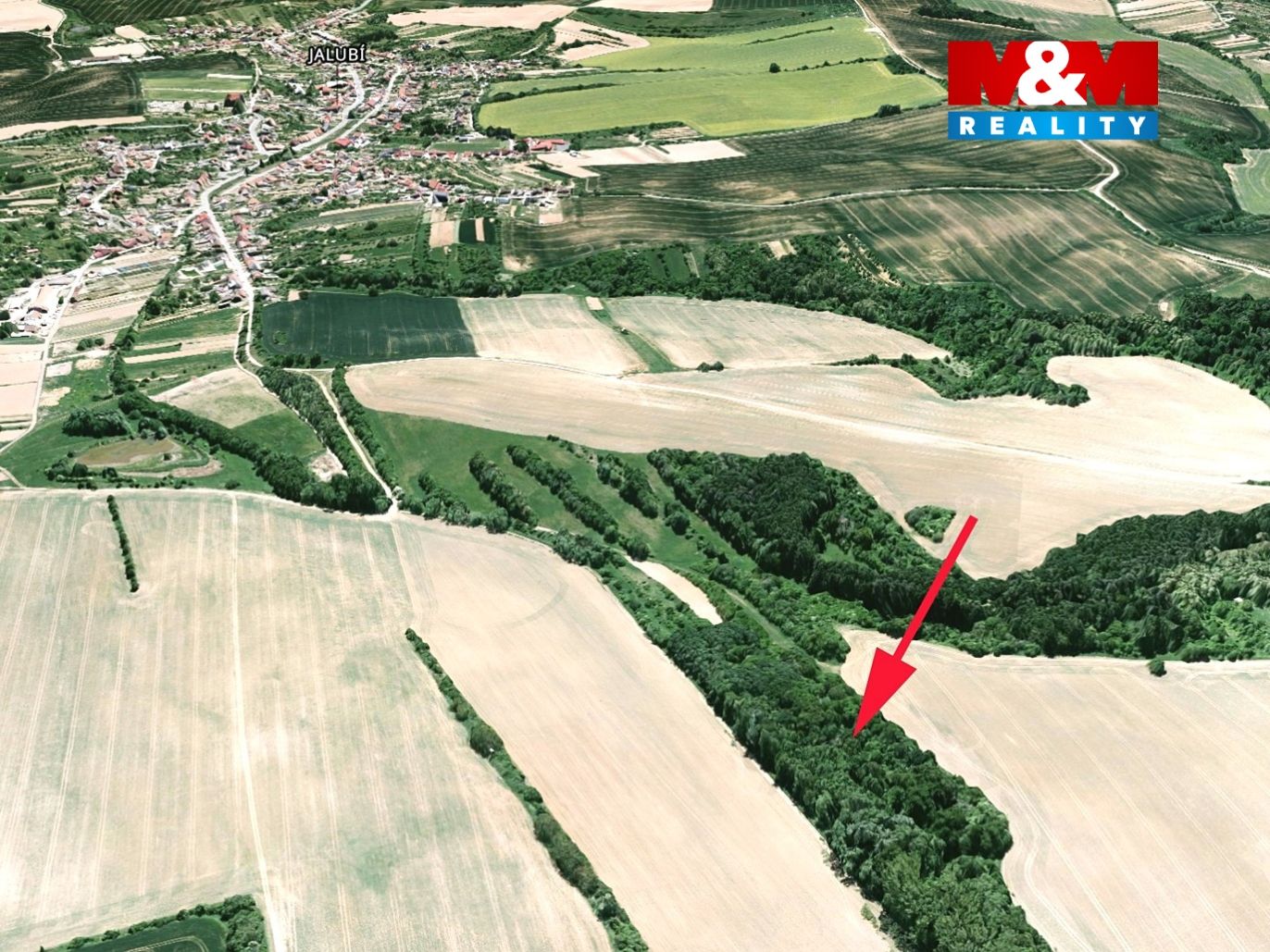 mapka