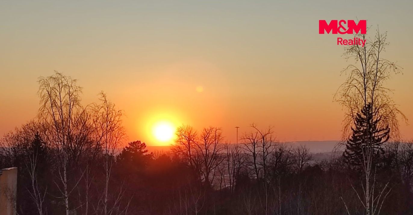 a7c38de5-8f55-40e4-8f7c-16e7b55b8a8b.jpg