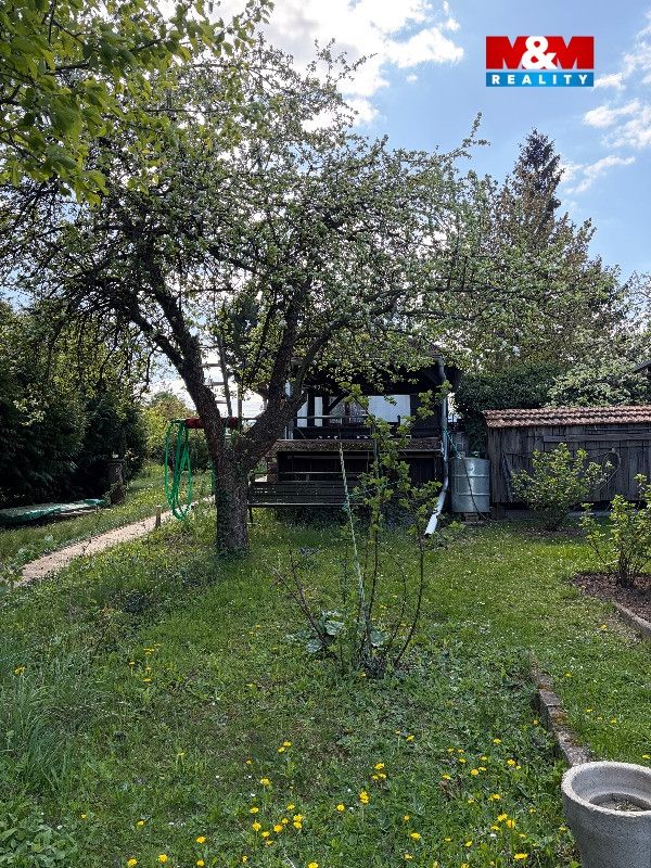 IMG_0045-změněno-na-střední.jpeg