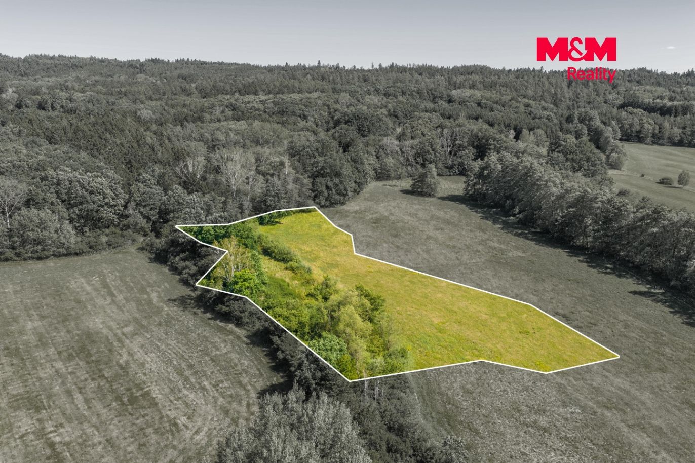 DJI_20260709155627_0880_Dbb.jpg