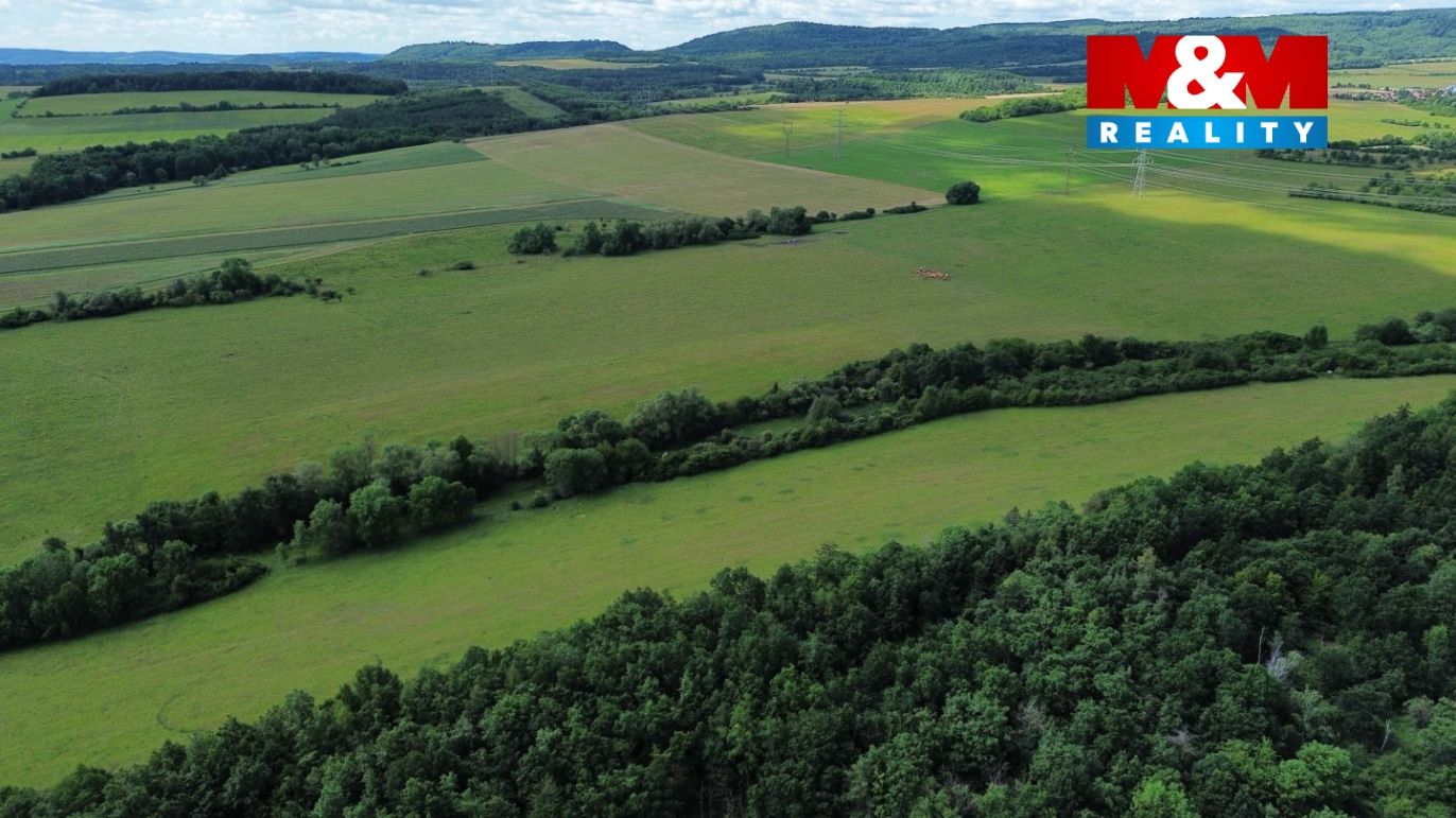 dji_fly_20260602_133232_189_1781784967828_photo_optimized.jpg