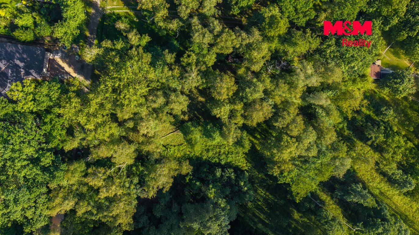 Pohled z dronu