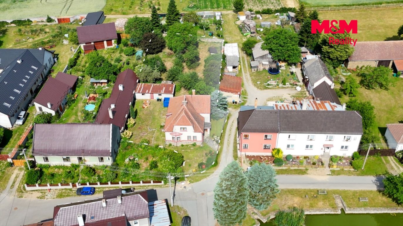 RD DRahany2.jpg