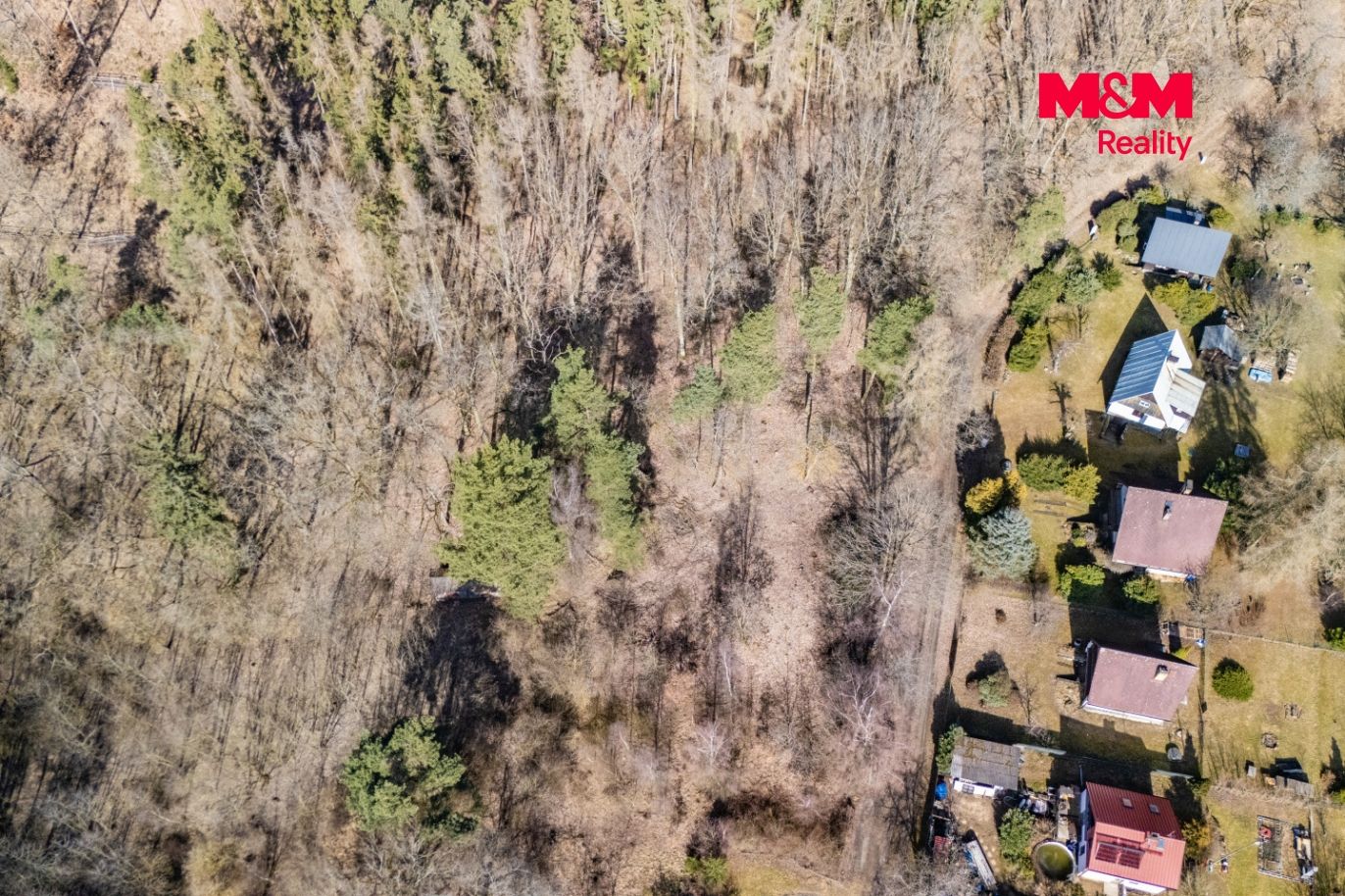 DJI_20260227122458_0001_D.jpg