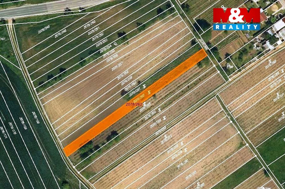 mapka