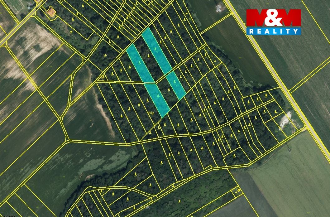 mapka