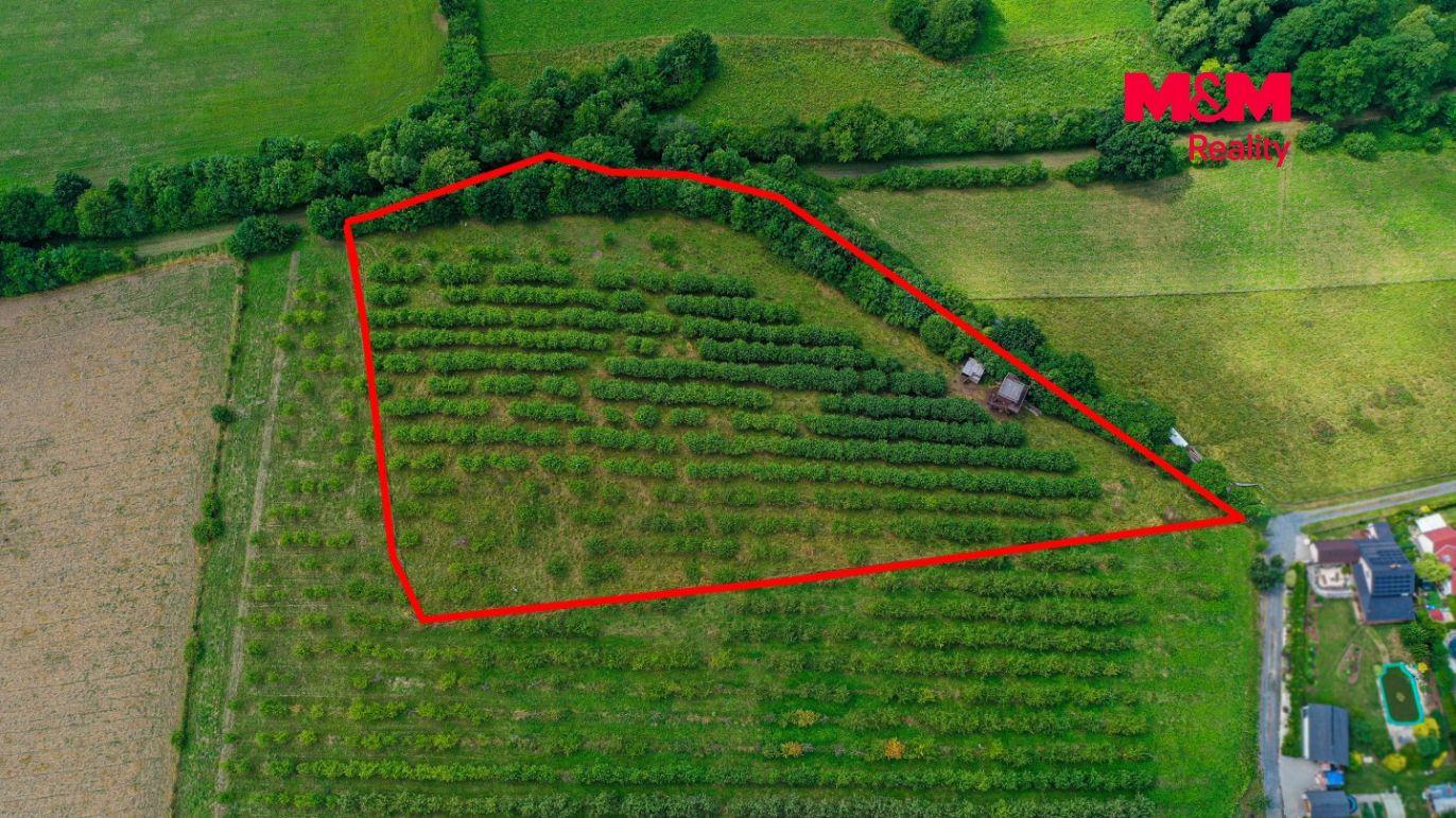 DJI_0784 kopie.jpg