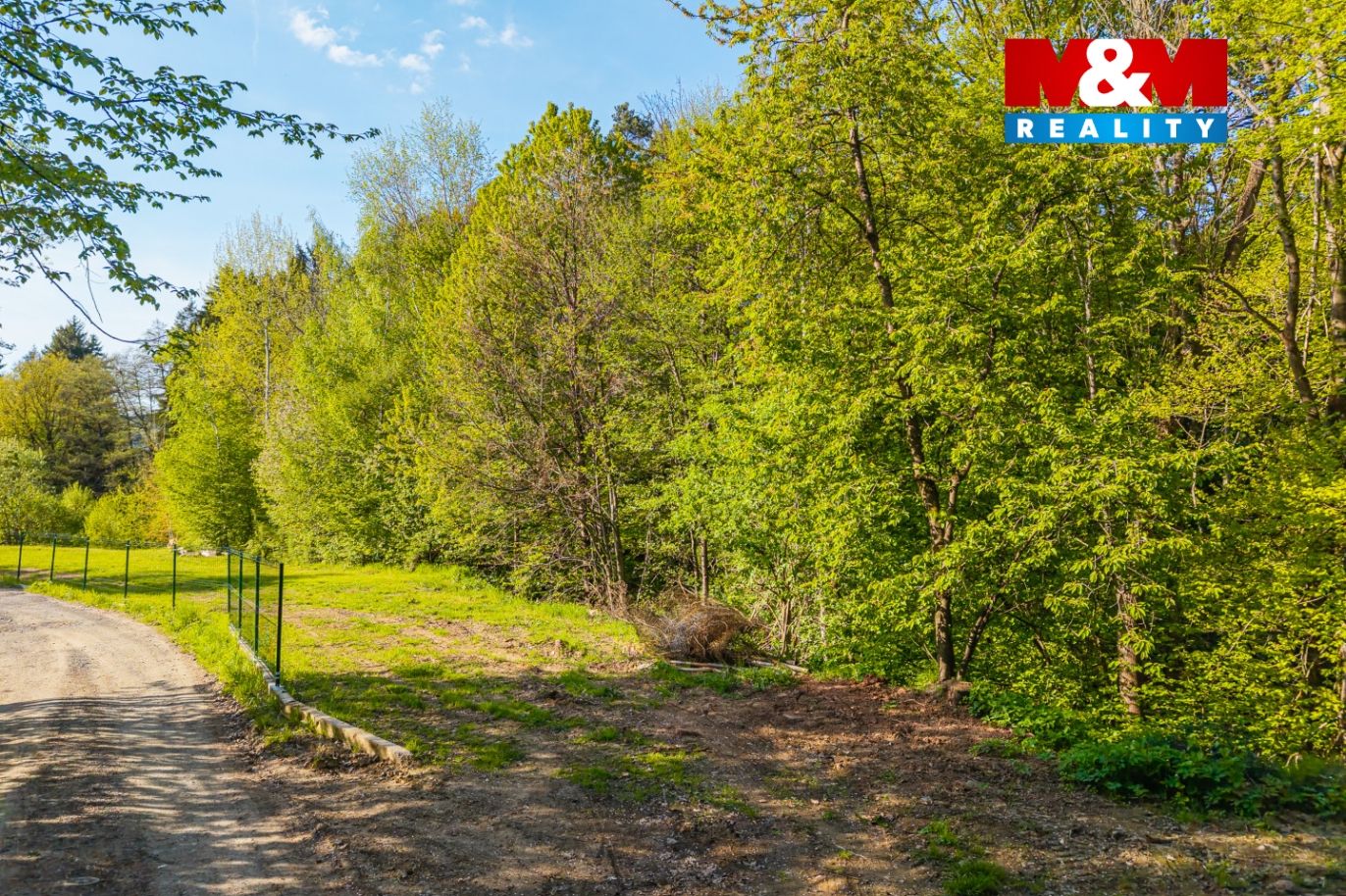 Prodej pozemku k bydlení, 1955 m², Stříbrná Skalice