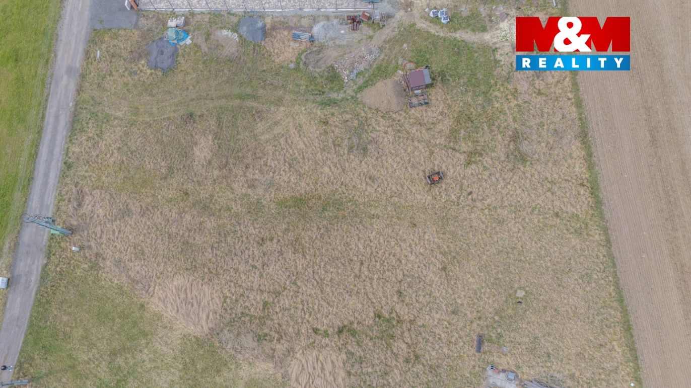 d3.jpg
