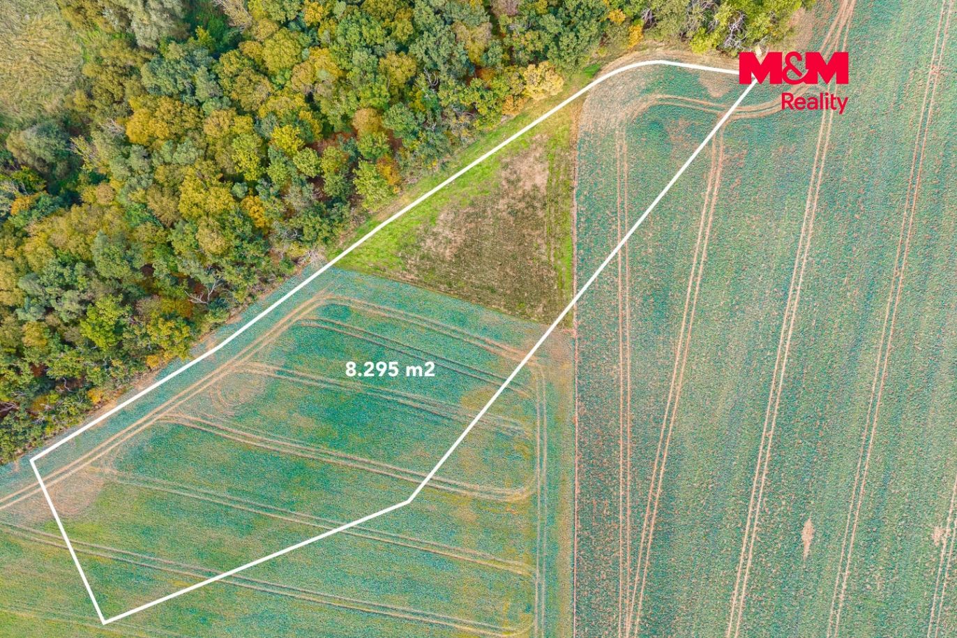 DJI_20260317075606_0009_D.jpg