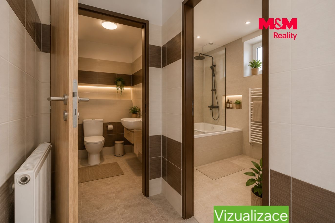 Vizualizace