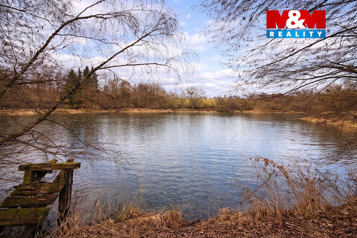 image_D187059D-441B-4083-912A-EF5AEB3CC792_1771093203.png