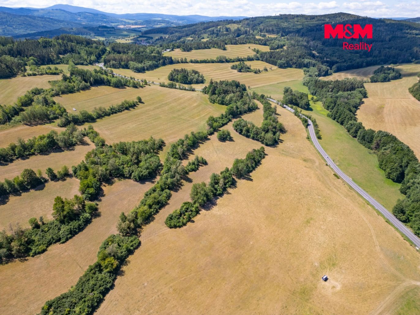 DJI_0533.jpg