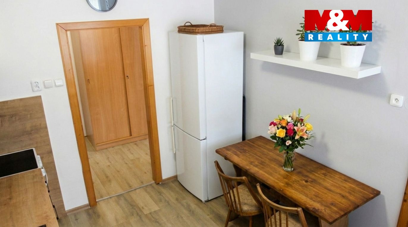 opravit_svislice_upravit_202604262113.jpeg