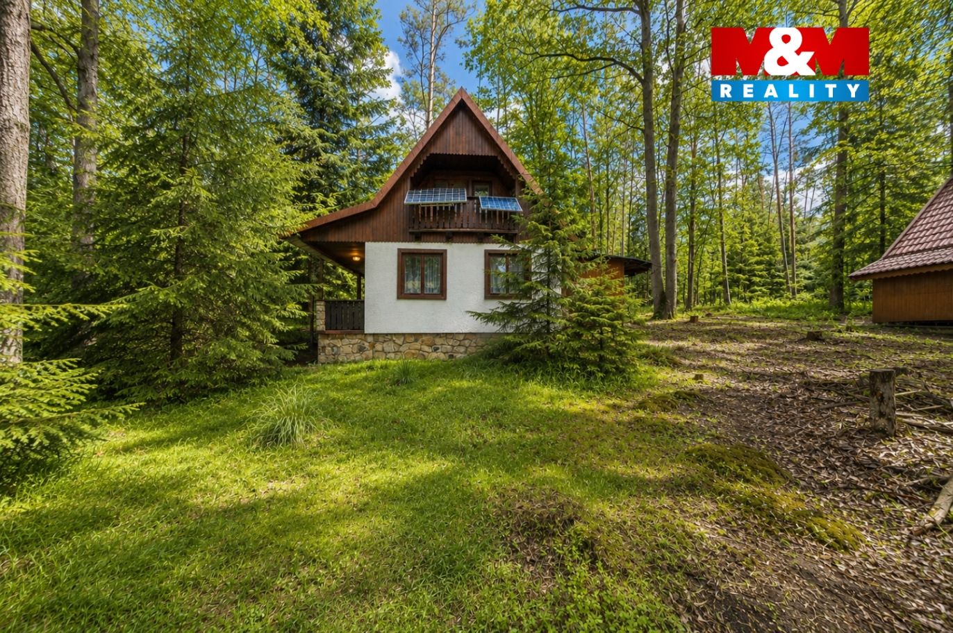 uvodni 1.png