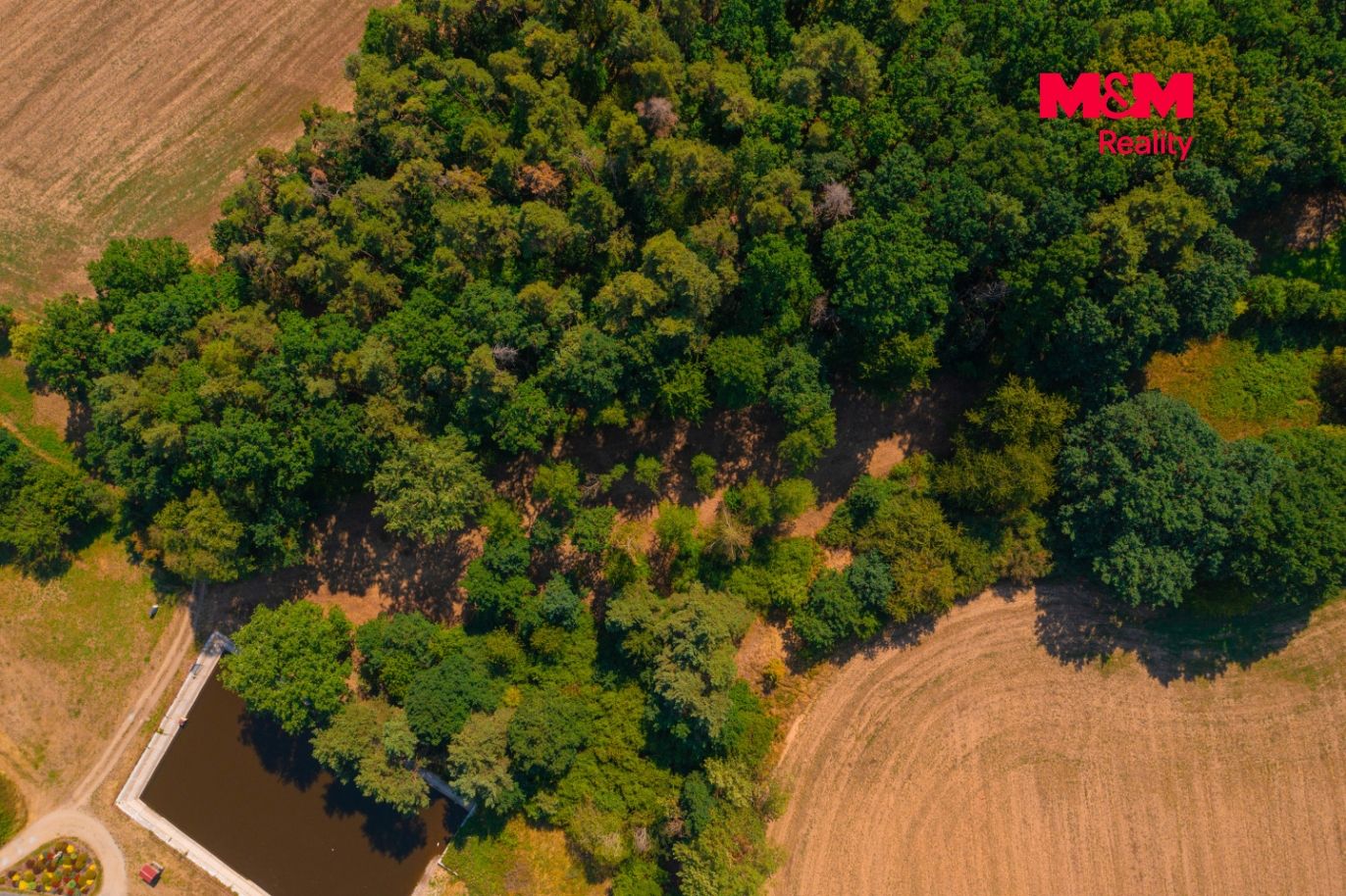 DJI_0547.jpg