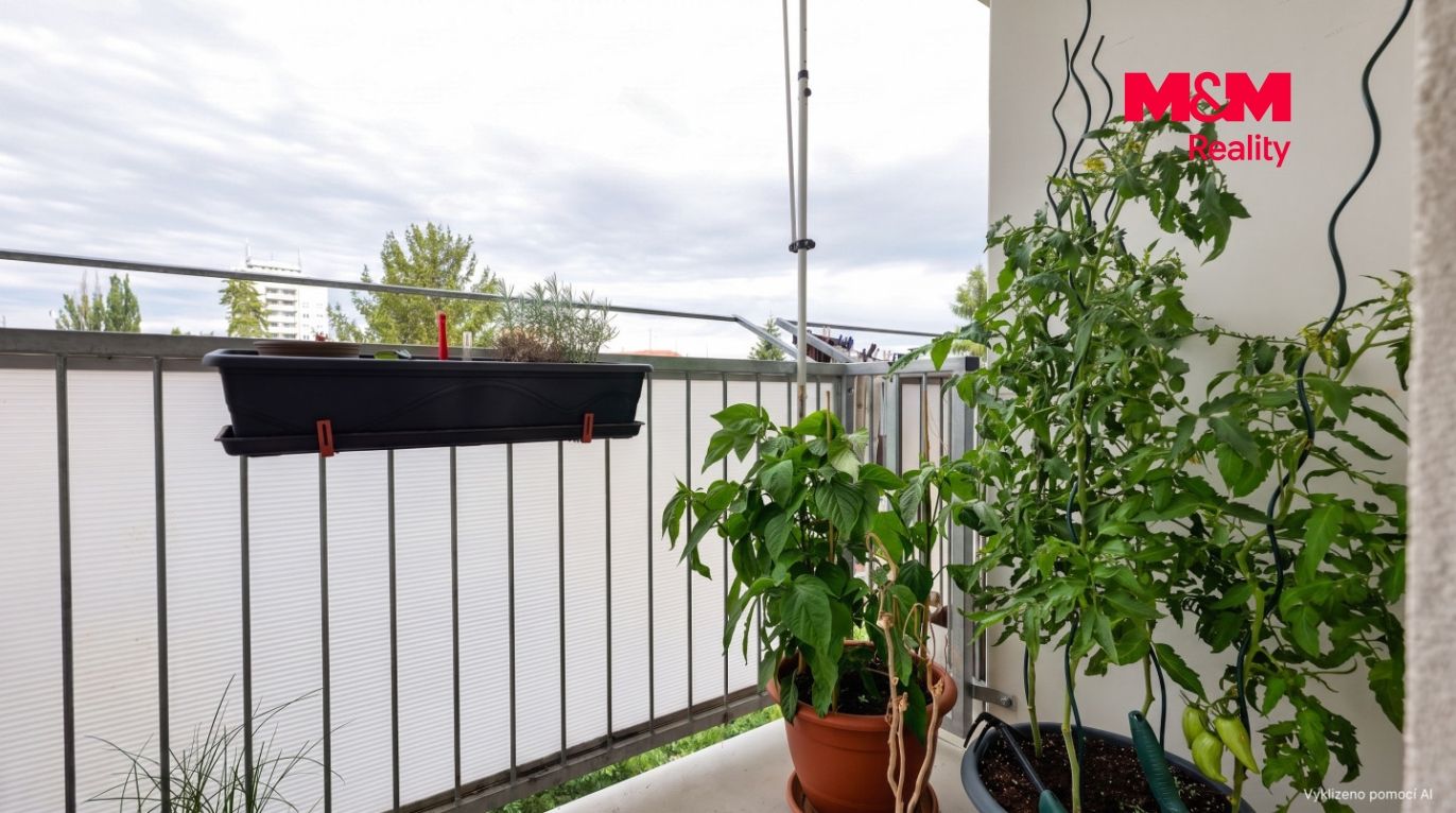 Balkon 2.jpeg